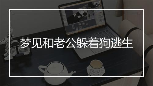 梦见和老公躲着狗逃生