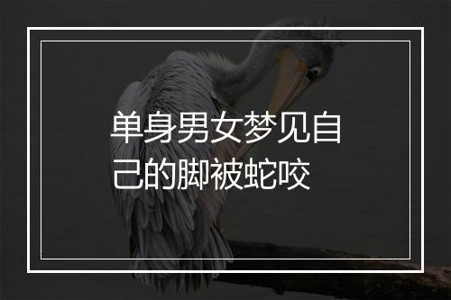 单身男女梦见自己的脚被蛇咬