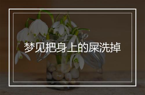 梦见把身上的屎洗掉