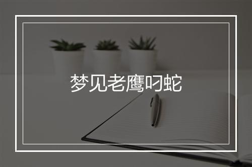 梦见老鹰叼蛇