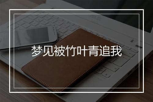 梦见被竹叶青追我