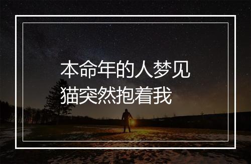 本命年的人梦见猫突然抱着我