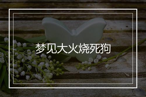 梦见大火烧死狗