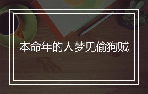 本命年的人梦见偷狗贼