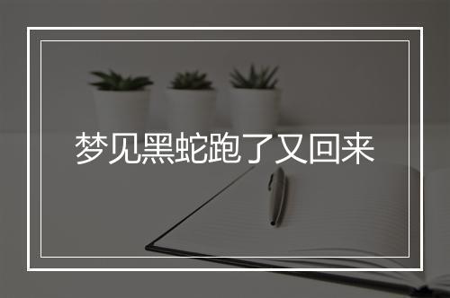 梦见黑蛇跑了又回来