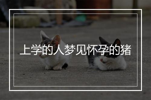 上学的人梦见怀孕的猪