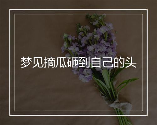 梦见摘瓜砸到自己的头