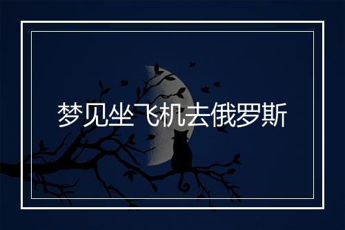 梦见坐飞机去俄罗斯