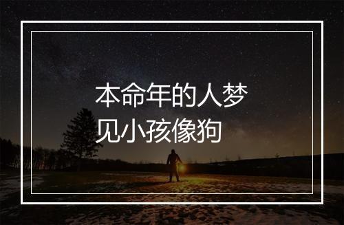 本命年的人梦见小孩像狗