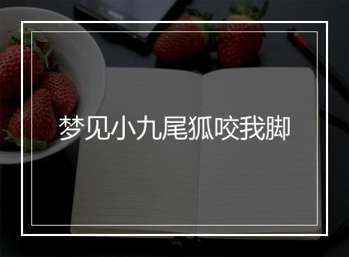 梦见小九尾狐咬我脚