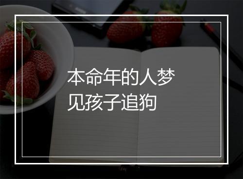 本命年的人梦见孩子追狗