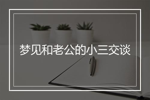 梦见和老公的小三交谈