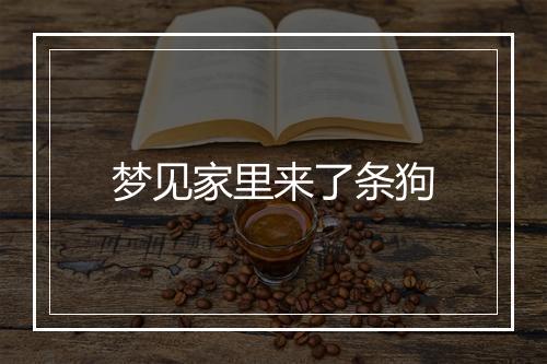 梦见家里来了条狗