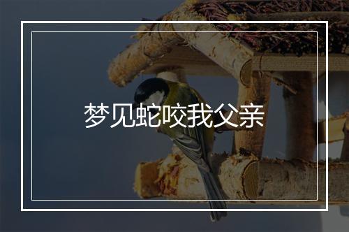 梦见蛇咬我父亲