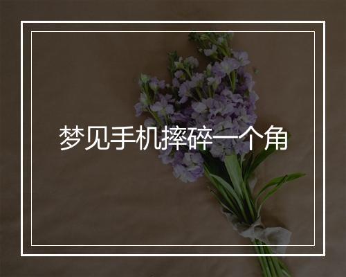 梦见手机摔碎一个角