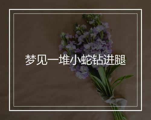 梦见一堆小蛇钻进腿