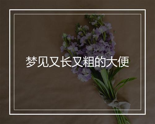 梦见又长又粗的大便