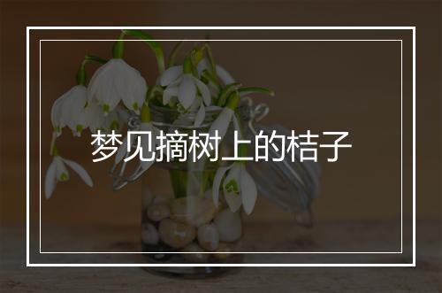 梦见摘树上的桔子