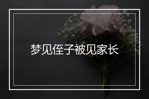 梦见侄子被见家长