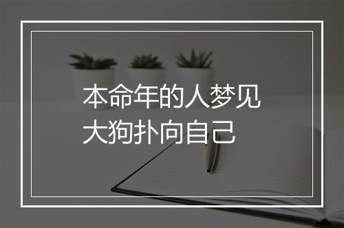 本命年的人梦见大狗扑向自己