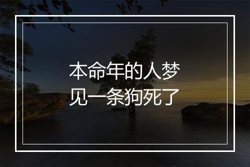 本命年的人梦见一条狗死了