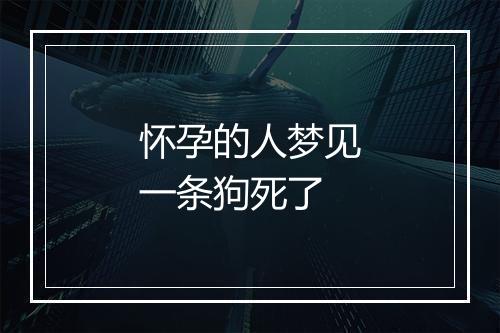 怀孕的人梦见一条狗死了