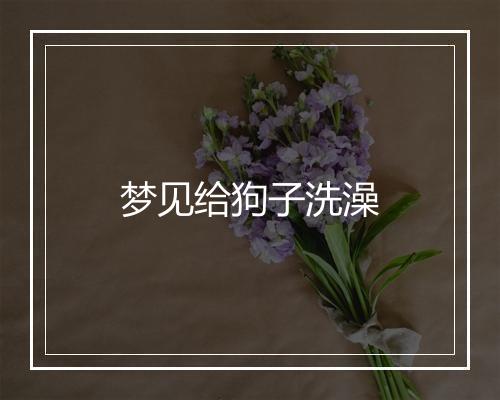 梦见给狗子洗澡