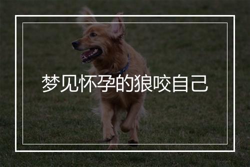 梦见怀孕的狼咬自己