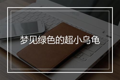 梦见绿色的超小乌龟