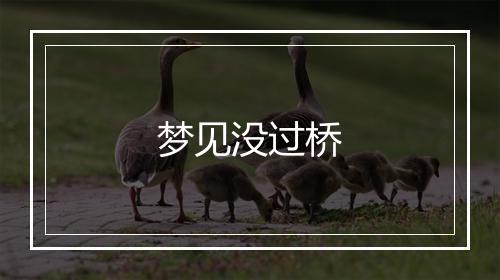 梦见没过桥