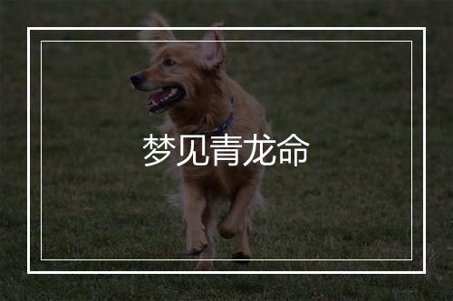 梦见青龙命