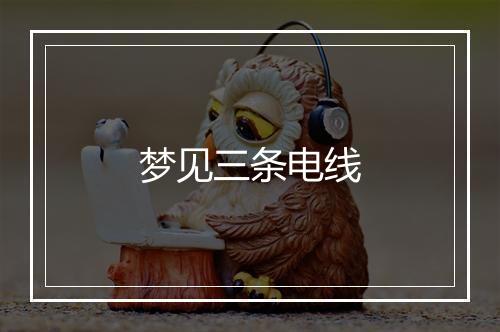 梦见三条电线