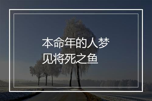 本命年的人梦见将死之鱼