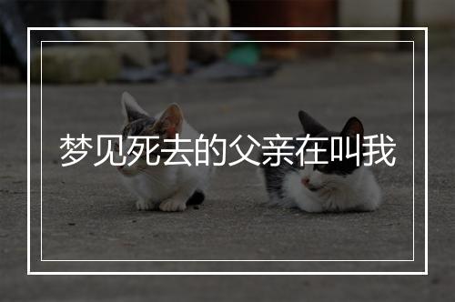 梦见死去的父亲在叫我