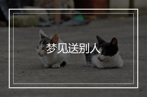 梦见送别人