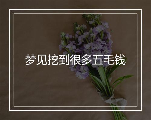 梦见挖到很多五毛钱