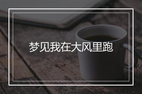 梦见我在大风里跑