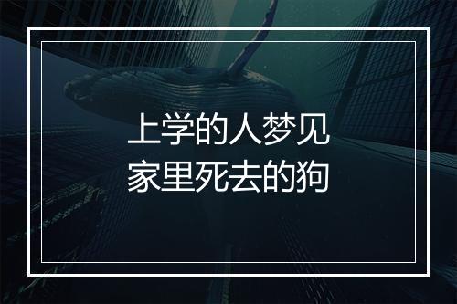 上学的人梦见家里死去的狗