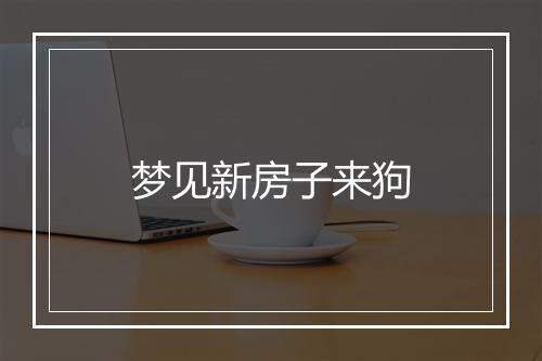 梦见新房子来狗