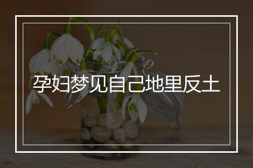 孕妇梦见自己地里反土