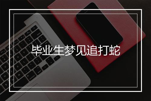 毕业生梦见追打蛇