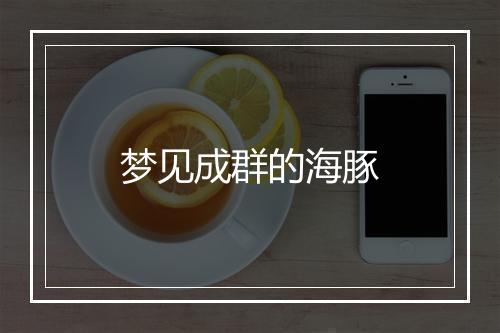 梦见成群的海豚