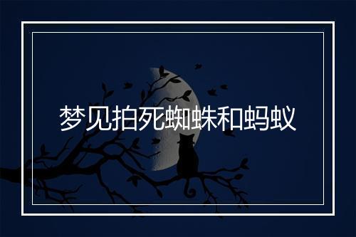 梦见拍死蜘蛛和蚂蚁