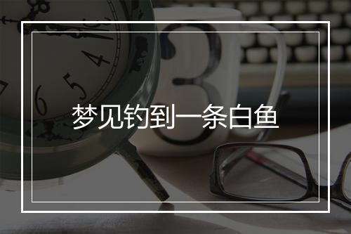 梦见钓到一条白鱼