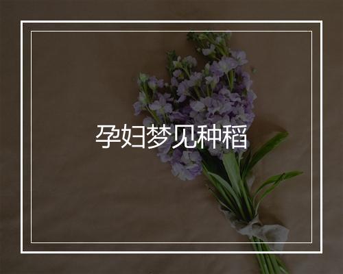 孕妇梦见种稻