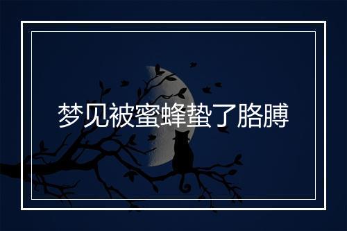 梦见被蜜蜂蛰了胳膊