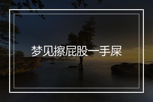 梦见擦屁股一手屎