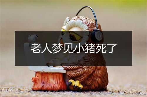 老人梦见小猪死了