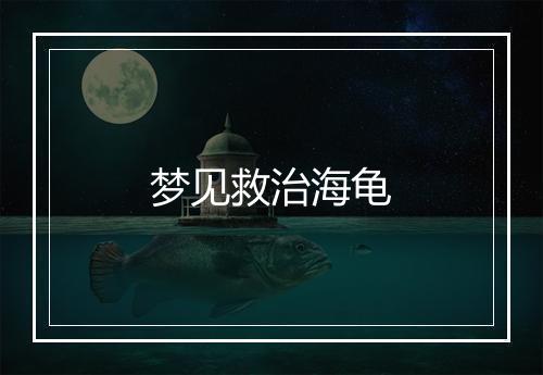 梦见救治海龟