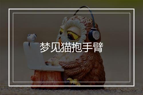 梦见猫抱手臂